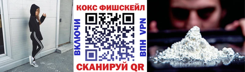 как найти закладки  нарко площадка наркотические препараты  Кокаин Fish Scale  Минусинск 
