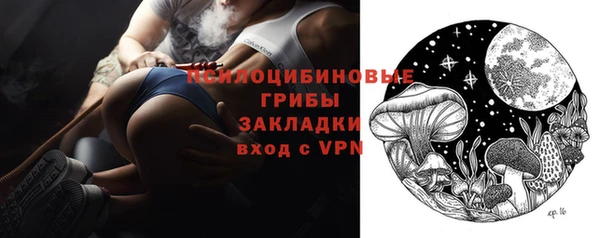 гашиш Богданович