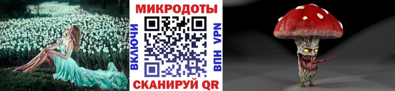 Псилоцибиновые грибы Cubensis  Минусинск 